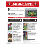 Adult CPR Basic Life Support Procedures Poster