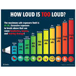 How Loud Is Too Loud? Poster