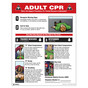 Adult CPR Basic Life Support Procedures Poster CS881254