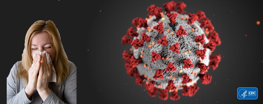 coronavirus