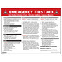 Emergency First Aid Poster CS229256