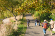 Recreation - Campsite / Trail Marker Posts